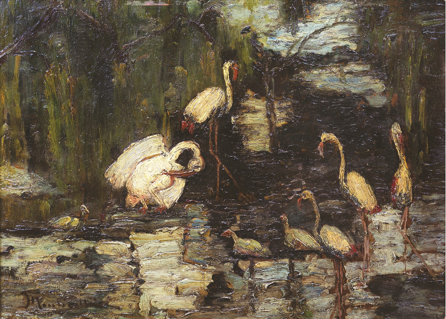 Oiseaux aquatiques